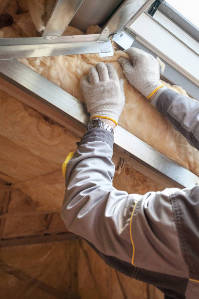 Types of Insulation We Offer in Luverne, AL